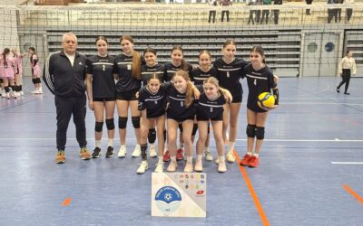 Županijsko natjecanje učenica u odbojci